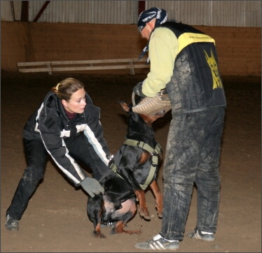 Training in Estonia 11/2007